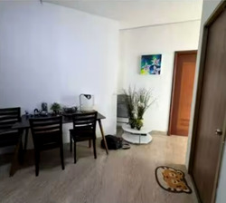 Sunshine Plaza (D7), Apartment #502540181